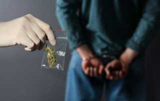 Pot Ponzi Scheme: Weedgenics Cannabis Culitivaton