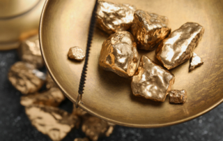 Ponzi Scheme - Gold Rush
